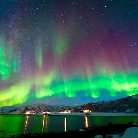 In The Heart Of The Aurora Borealis - Tromso City Exterior foto