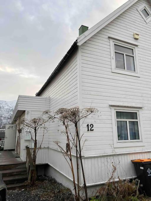 In The Heart Of The Aurora Borealis - Tromso City Exterior foto